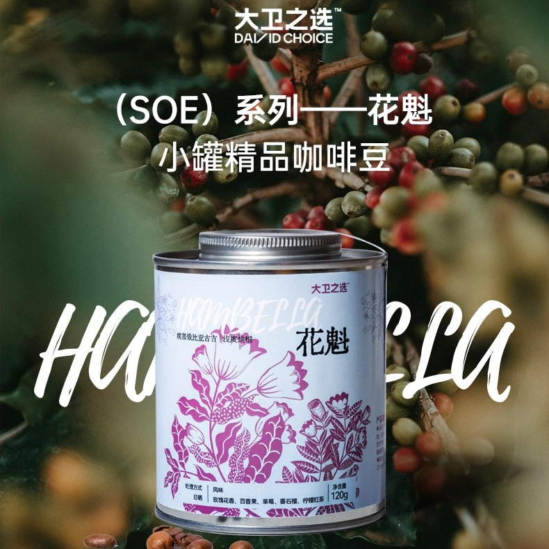 大卫之选【小罐SOE单品咖啡豆】 花魁 SOE单品豆 埃塞俄比亚