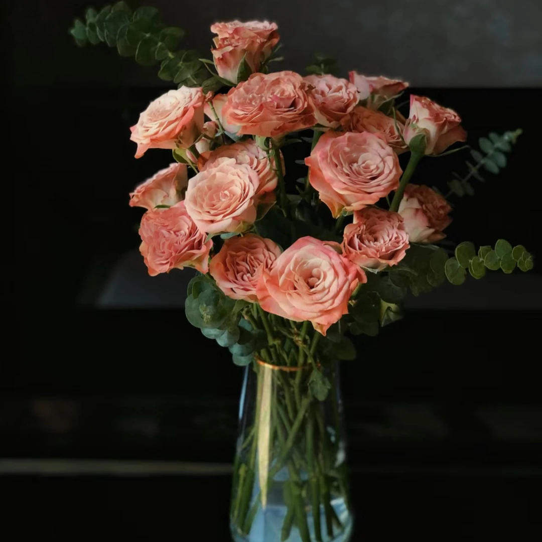 任意满2件包邮  卡布奇诺玫瑰10支 运输3支折损不售后