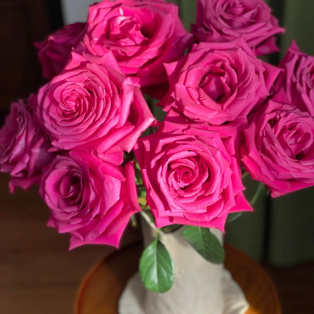 任意满2件包邮  佛洛依德玫红色玫瑰10支 运输3支折损不售后