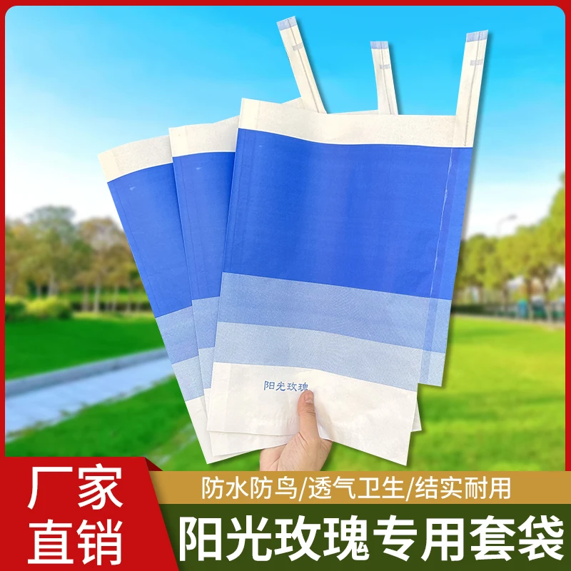 阳光玫瑰葡萄专用套袋包晴王大号三色蓝葡萄套袋
