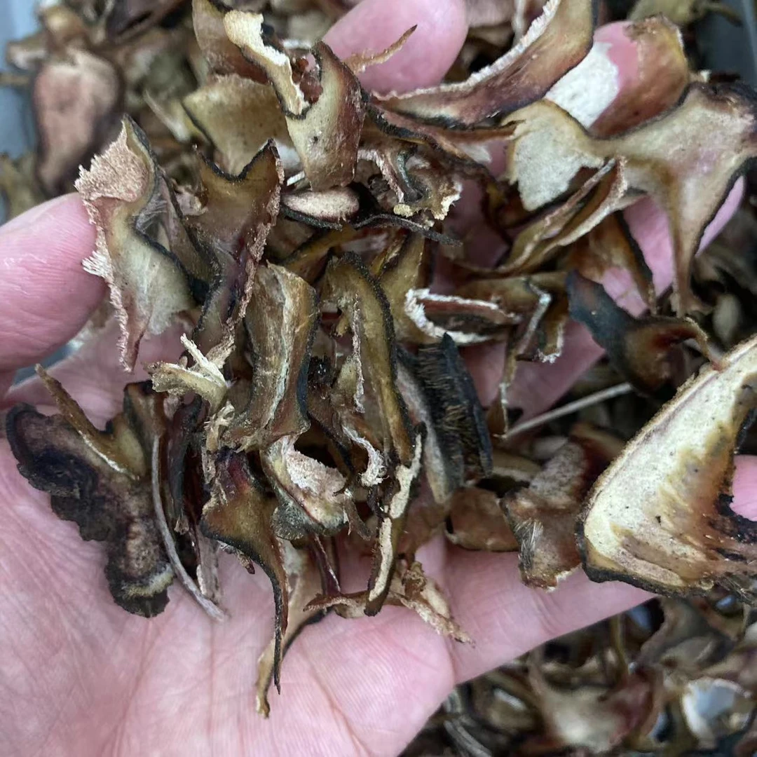 【幸子精选】 靓靓 茸茸 腊碎片 （胶）