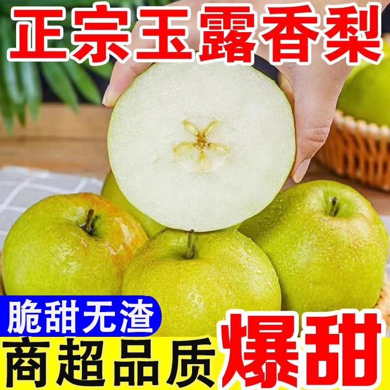 正宗山西玉露香梨薄皮特级大果新鲜水果应季爆甜10斤5斤3斤特级