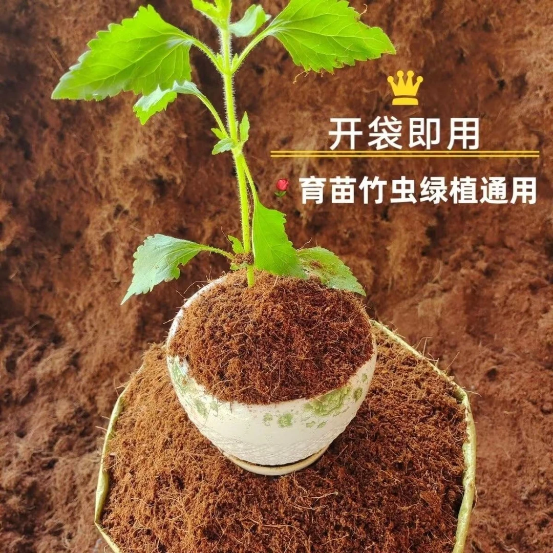 进口椰糠土通用营养土种球蔬菜百合风信子郁金香通用松软透气不烂