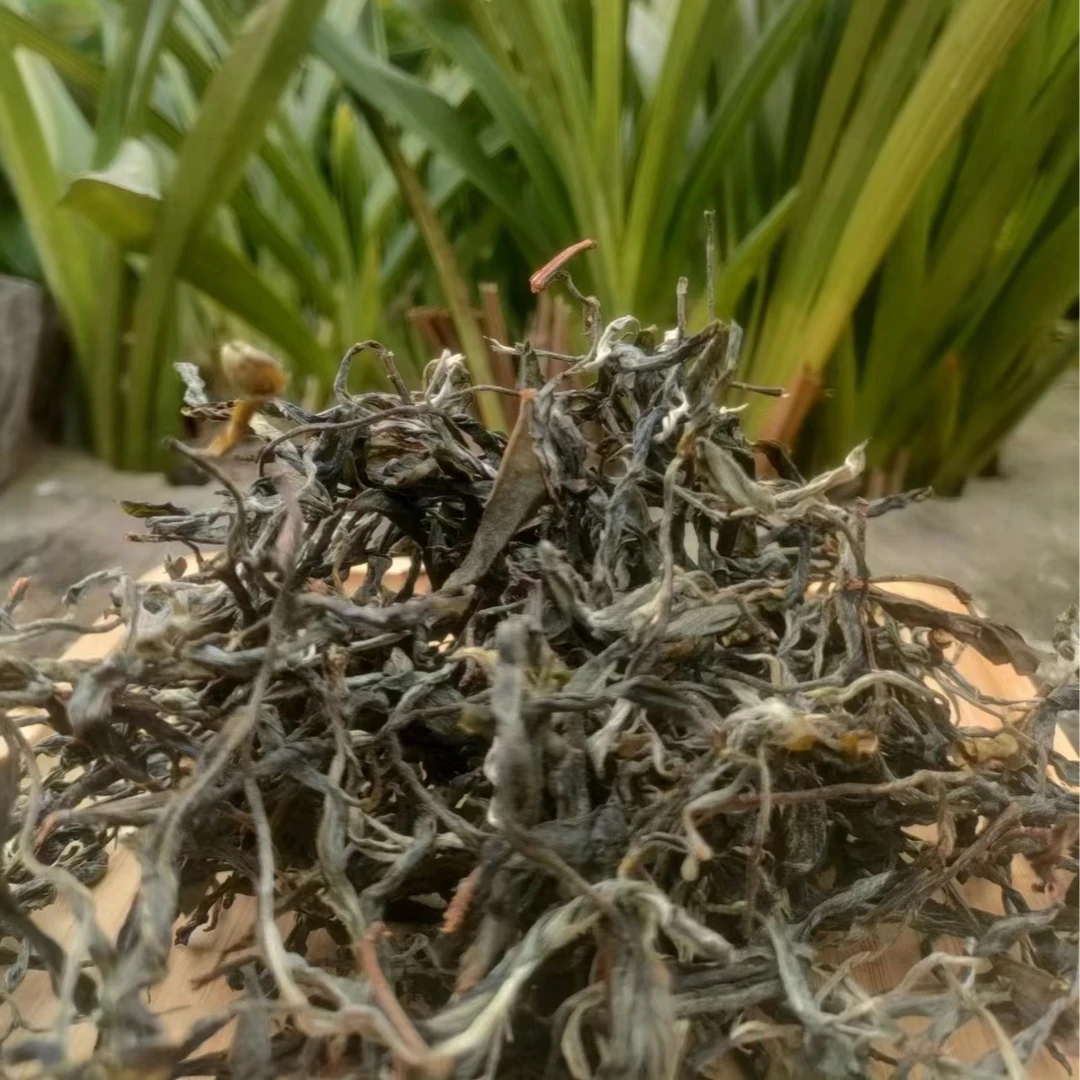 2023年忙糯头春大树茶