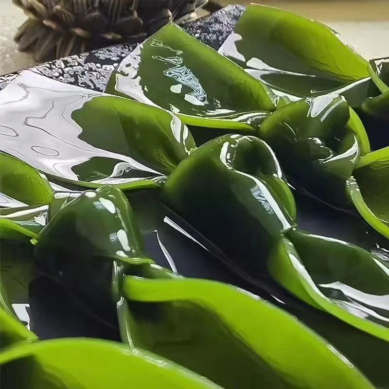 5斤整箱新鲜特厚绿海带结盐渍海带中大扣火锅串串商用食材批发