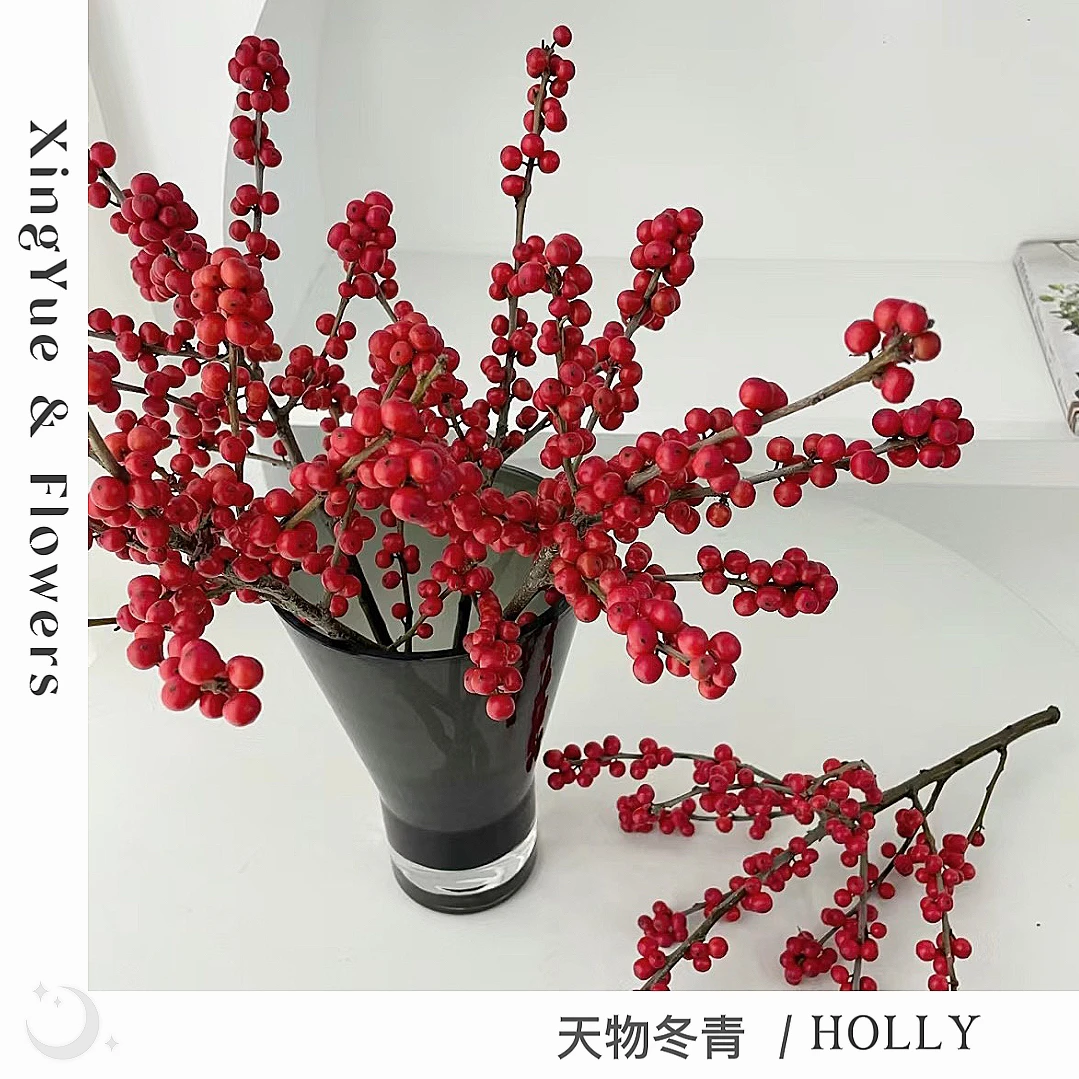 【星玥鲜花】天物冬青 年宵花扛把子