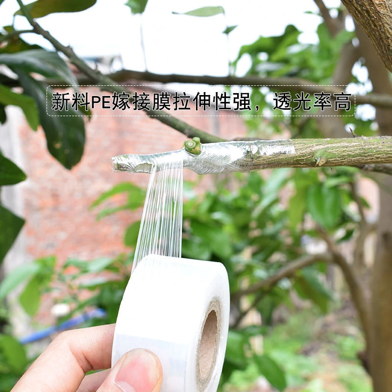 【抢！9.9元3卷共600米】专业PE嫁接膜果树苗木专用膜缠绕膜自粘膜