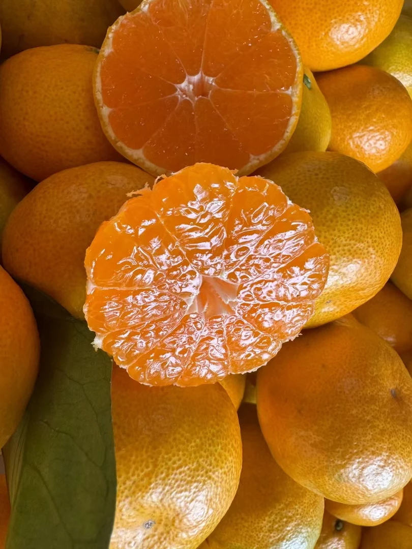 正宗涌泉高山蜜橘