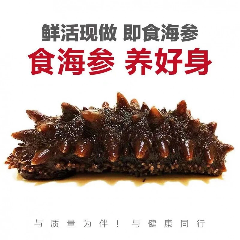 【25秋分】大连辽刺参海鲜即食海参营养劲道好吃工厂直发