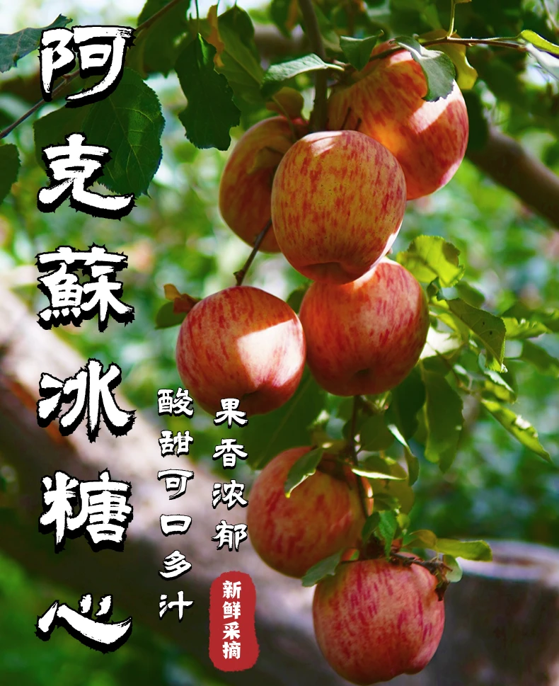 【雷哥专属包邮】正宗新疆阿克苏冰糖心苹果5-9斤红富士脆甜多汁