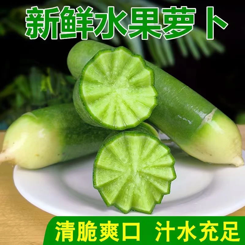 山东潍坊水果萝卜3/5/9斤潍县青萝卜生吃脆甜微辣现拔现发