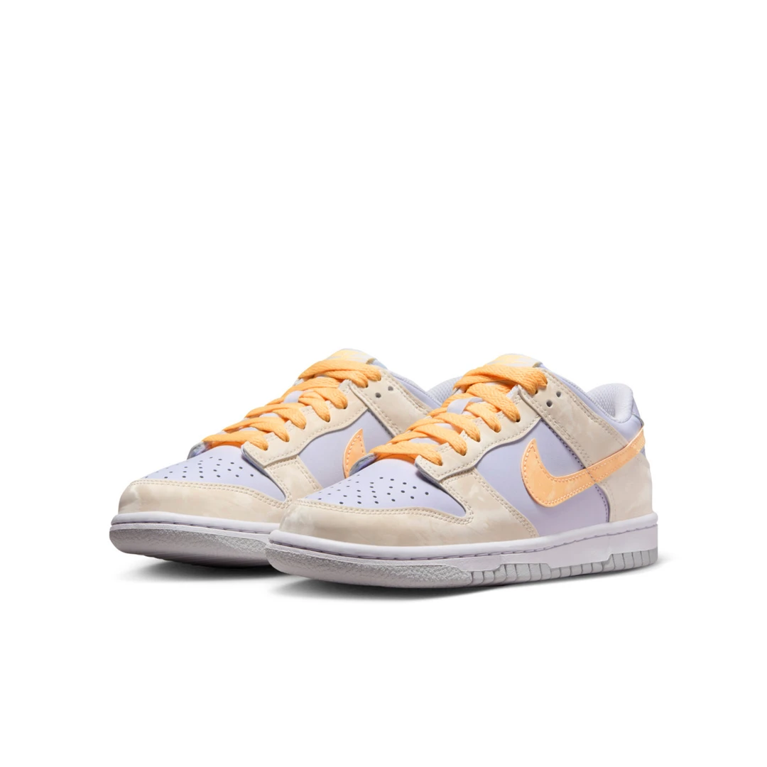 Nike/耐克NIKE DUNK LOW (GS)低帮运动休闲鞋FB9109-100