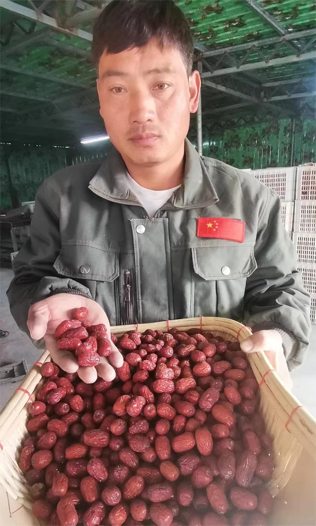 新疆灰枣 2公分-3公分煮粥煲汤5斤包邮