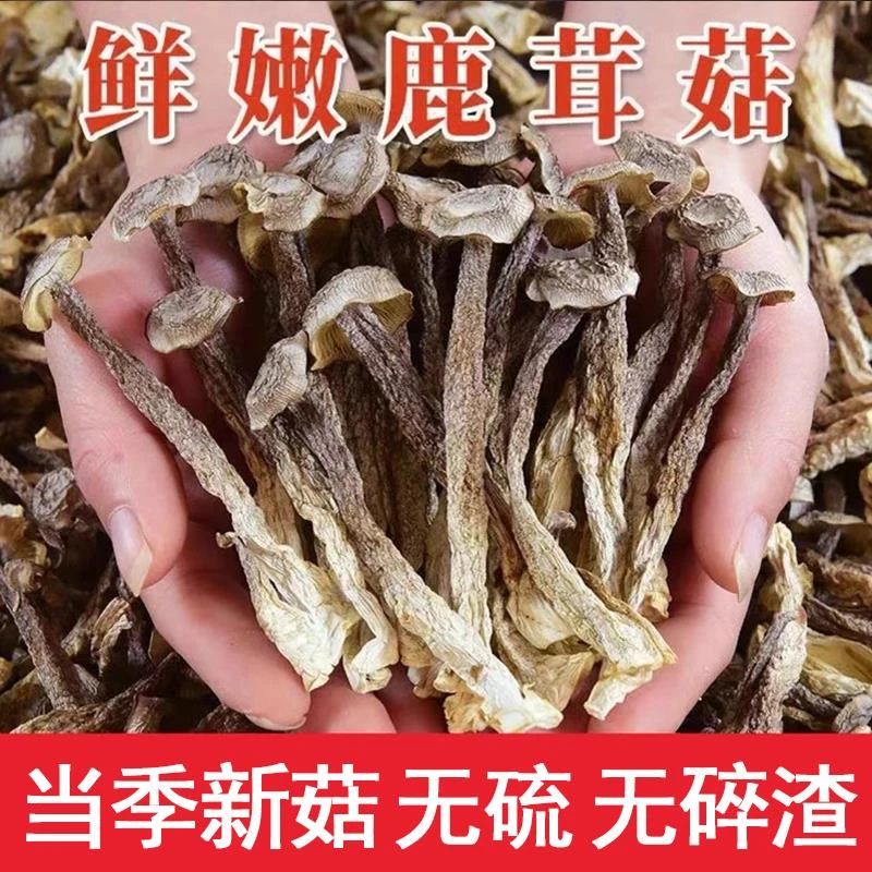 精选】鹿茸菇干货脆脆菇鹿茸菌菇香菇煲汤食材散装100g/250g炖汤
