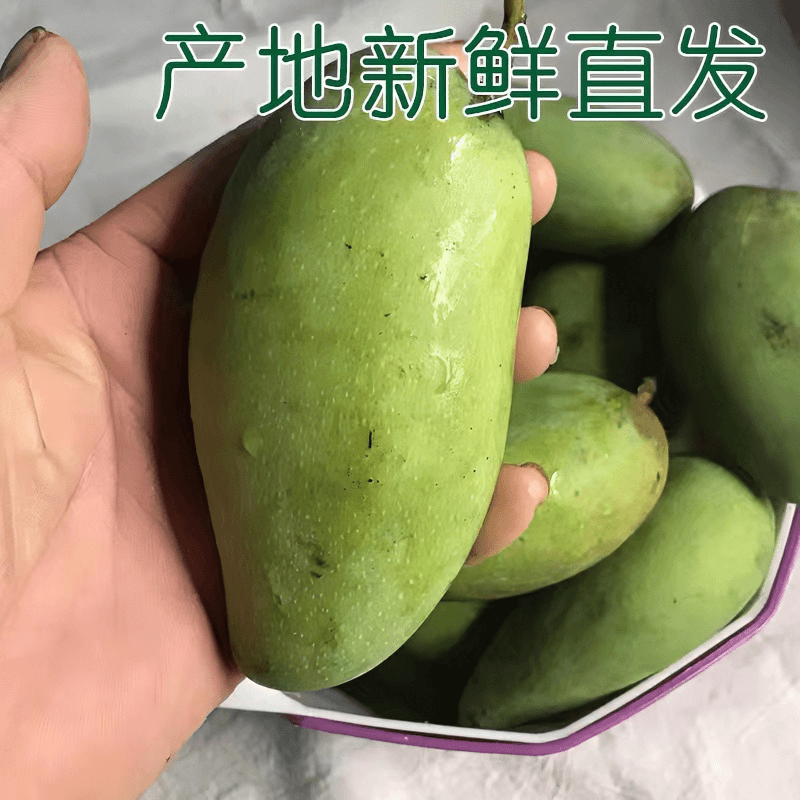 新鲜生吃酸芒果海南青芒酸嘢芒果现摘现发酸脆芒果广西酸脆芒包赔