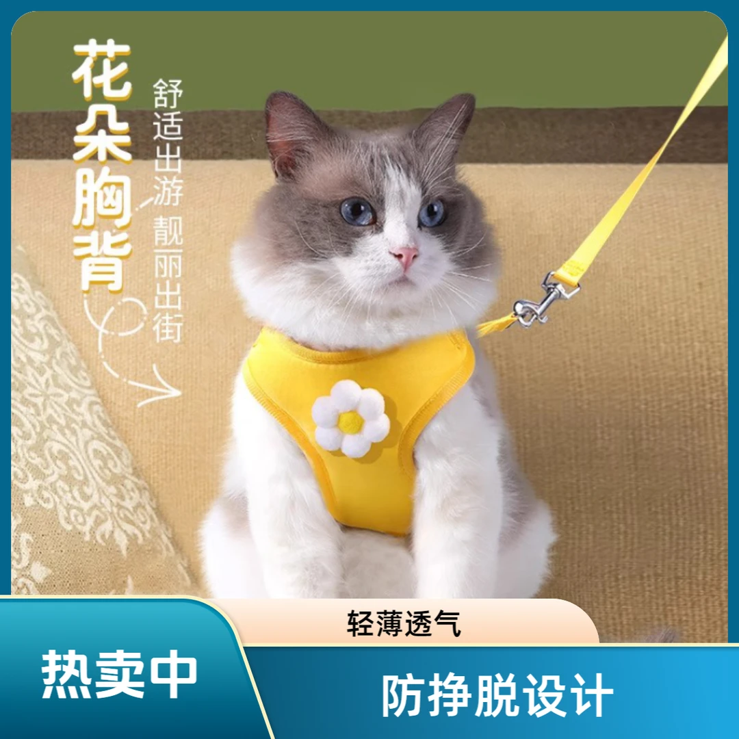 猫咪牵引绳防挣脱外出专用背心式狗狗遛猫绳子猫链子宠物可调节