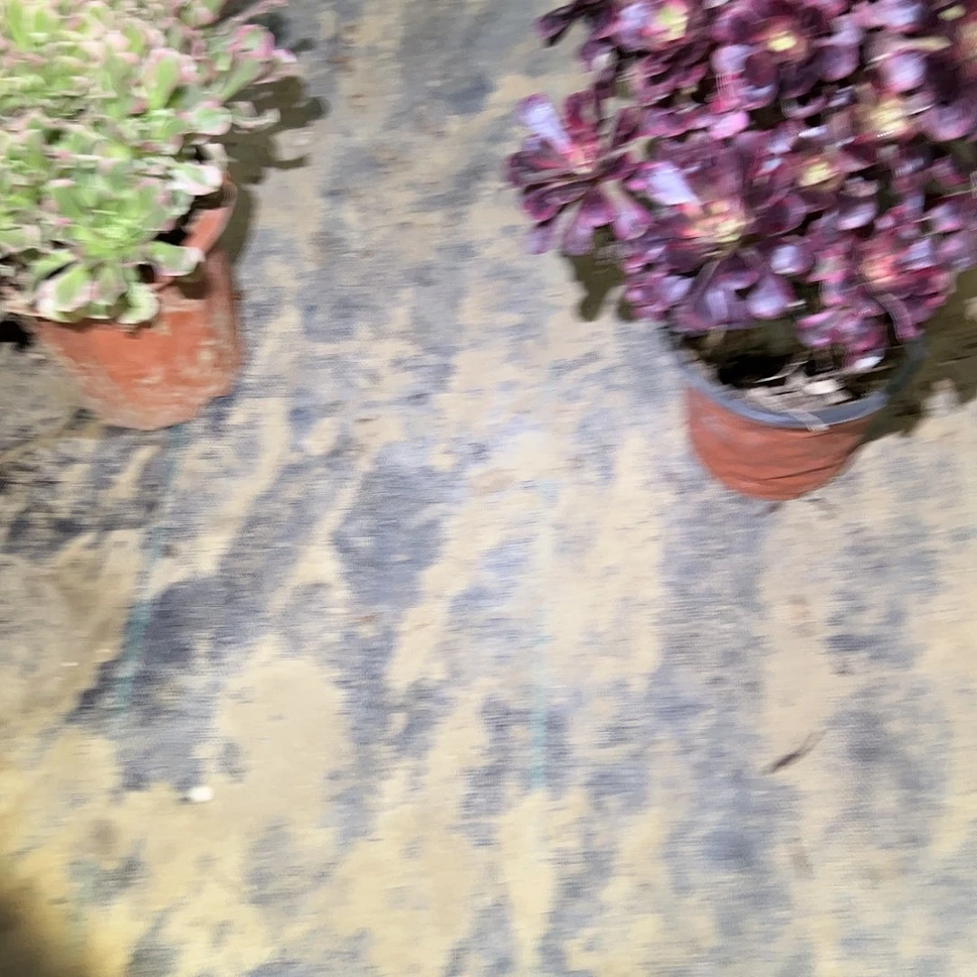 火*丽娜法师一物一拍45