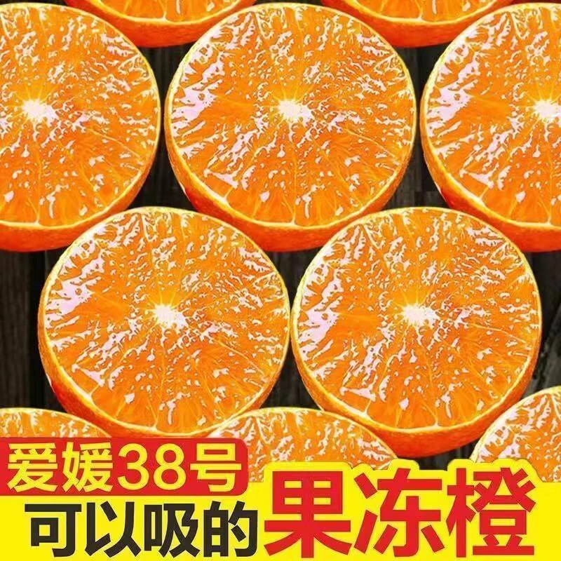 【东方甄选】四川爱媛38号果冻橙10斤新鲜橙子当季水果柑橘果园现..