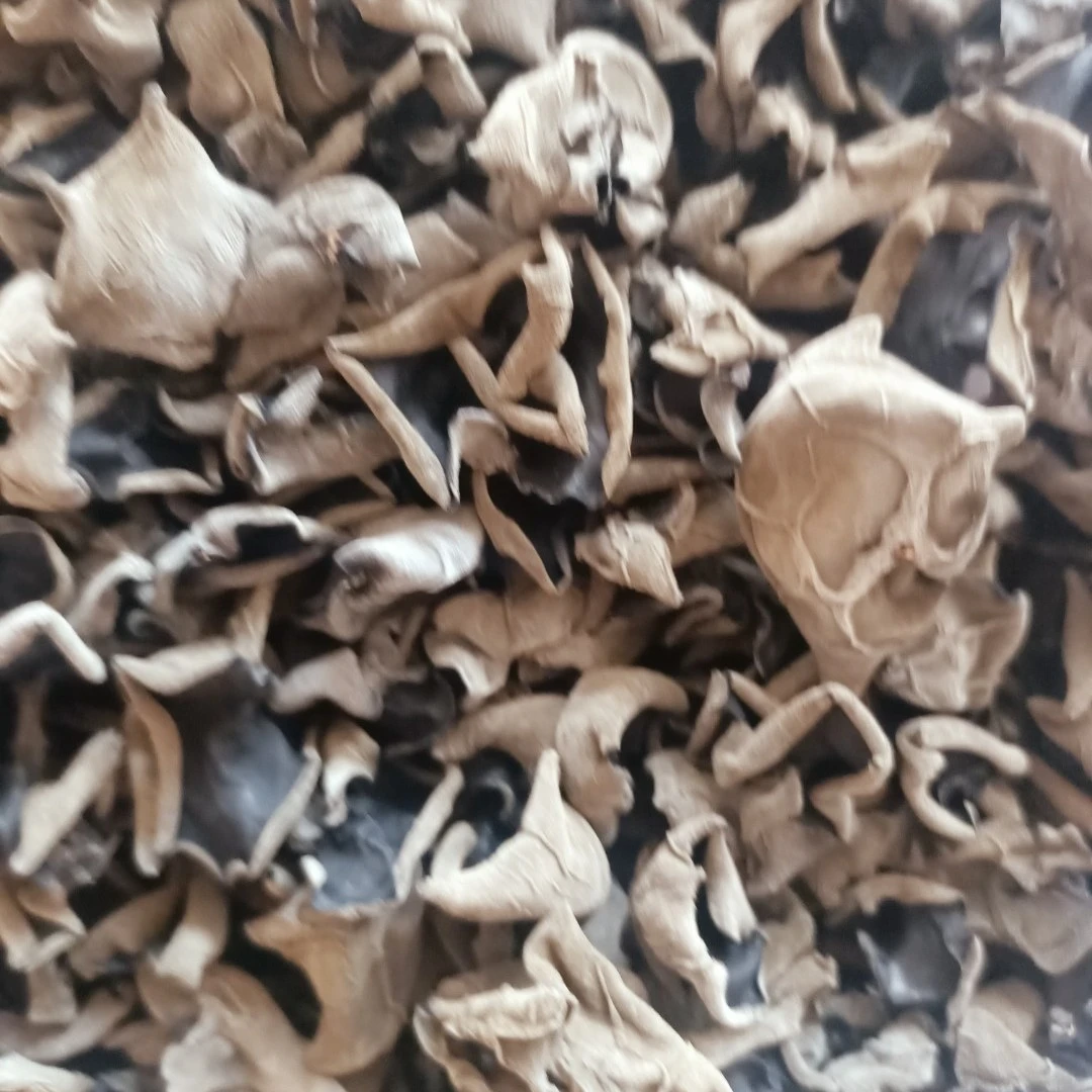 东北黑龙江黑木耳山珍250