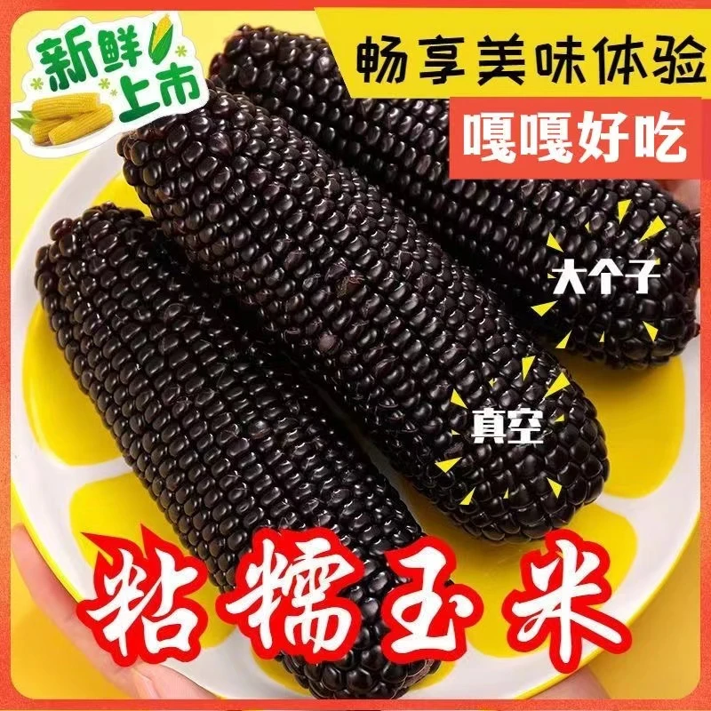 东北新鲜现摘粘糯黑玉米拉丝玉米拍8赠2共10支*250g(5斤以上)