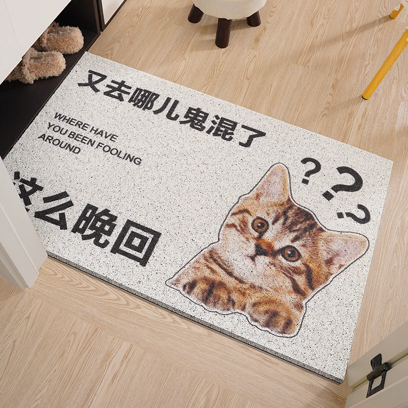 入户门地垫进门口地毯家用网红可爱卡通丝圈脚垫耐脏pvc可擦洗
