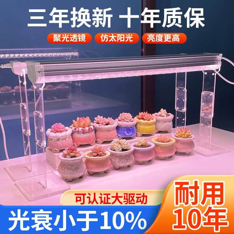 太阳婆婆多肉植物补光增色灯室内盆景植物全光谱LED上色仿阳光
