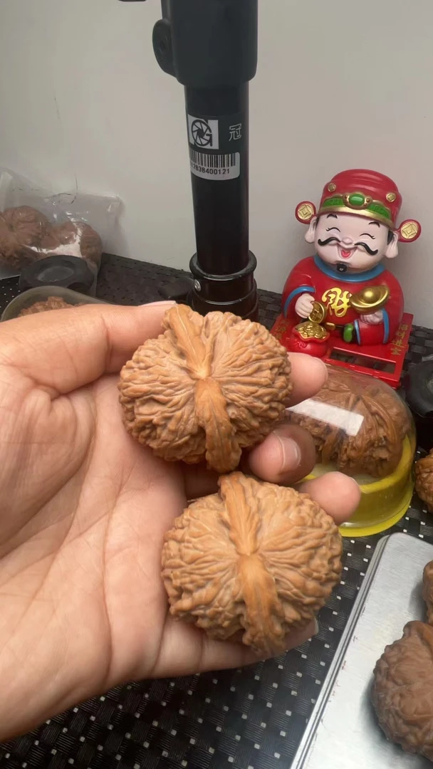 闷白白狮子随机发货