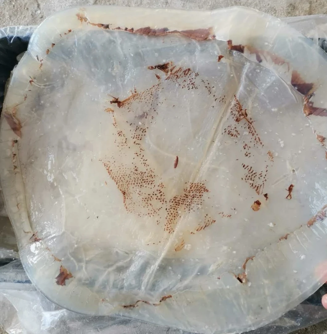 精选正宗海蜇头白皮5A级品质海蜇皮3斤/5斤桶装包邮凉拌开胃菜