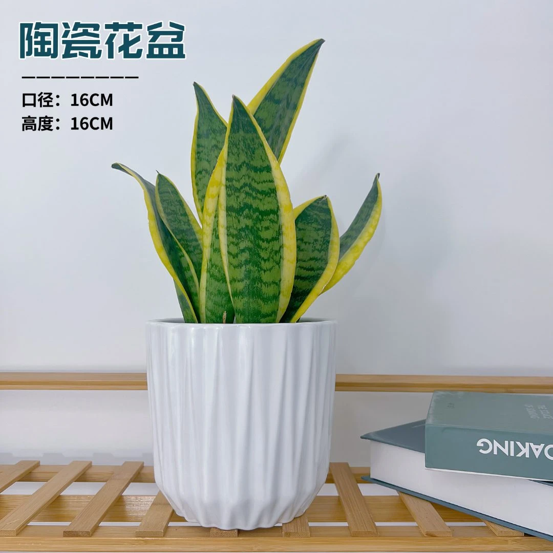 纯白色钻石小号16高16陶瓷摆件创意轻奢风花盆