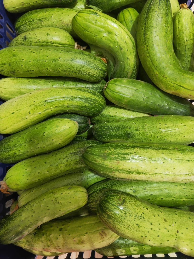 老妈家农家肥黄瓜