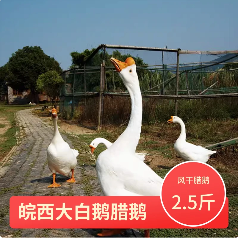 安徽寿县腊鹅皖西白鹅老鹅手工腌制切开装无头无爪无脖腊公鹅
