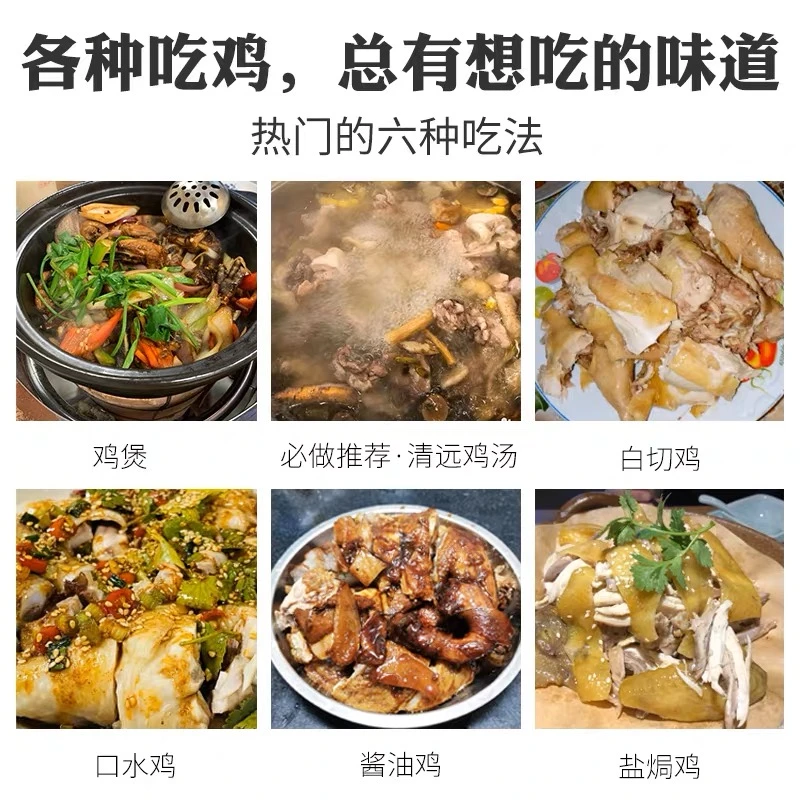 安徽农家散养溜达鸡黄油黄皮新鲜冷鲜发货土鸡