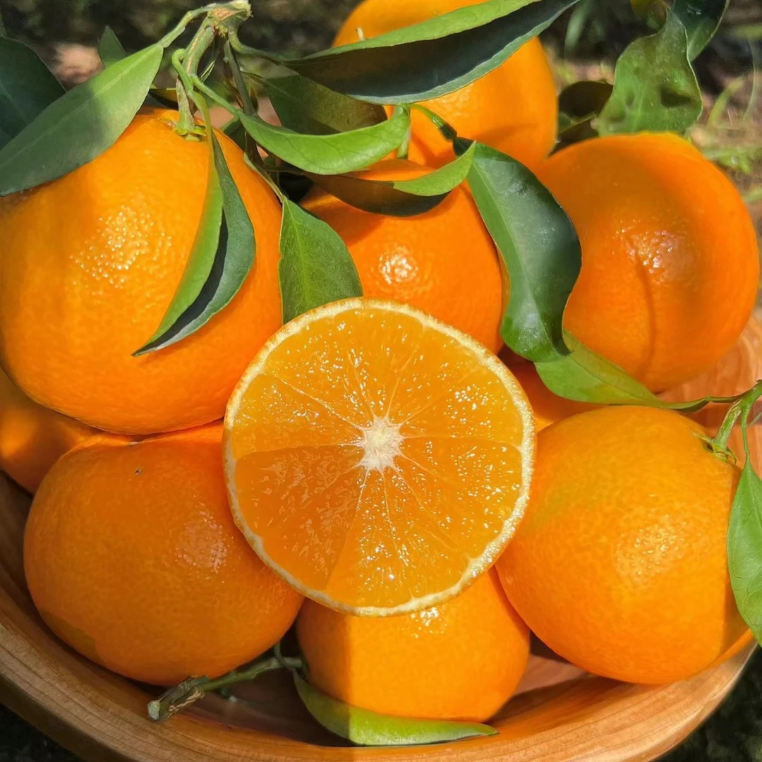 【吉林市同城配送】爱媛果冻橙