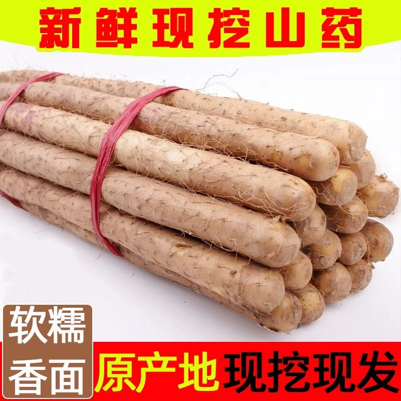 正宗新鲜淮山药3/5斤粉糯小白嘴铁杆山药当季蔬菜包邮