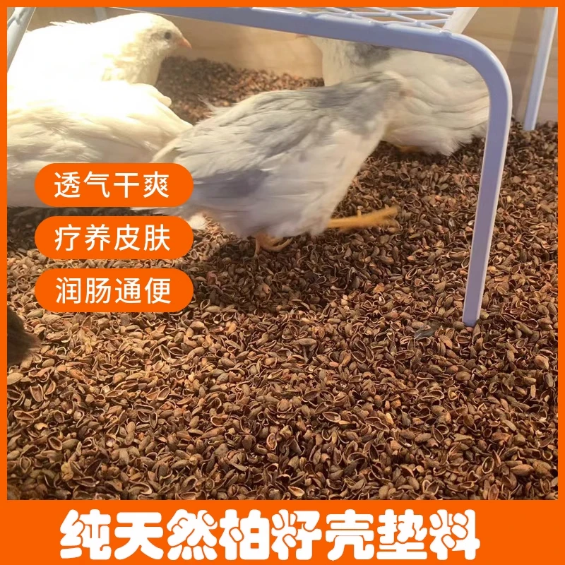 【琦诺家的手工作坊】芦丁鸡柏籽壳柏树壳百草籽垫料除臭无尘