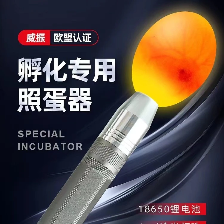 冷光照蛋灯孵化专用不伤蛋卢丁丁希尔塞拉玛孵化专用照蛋灯