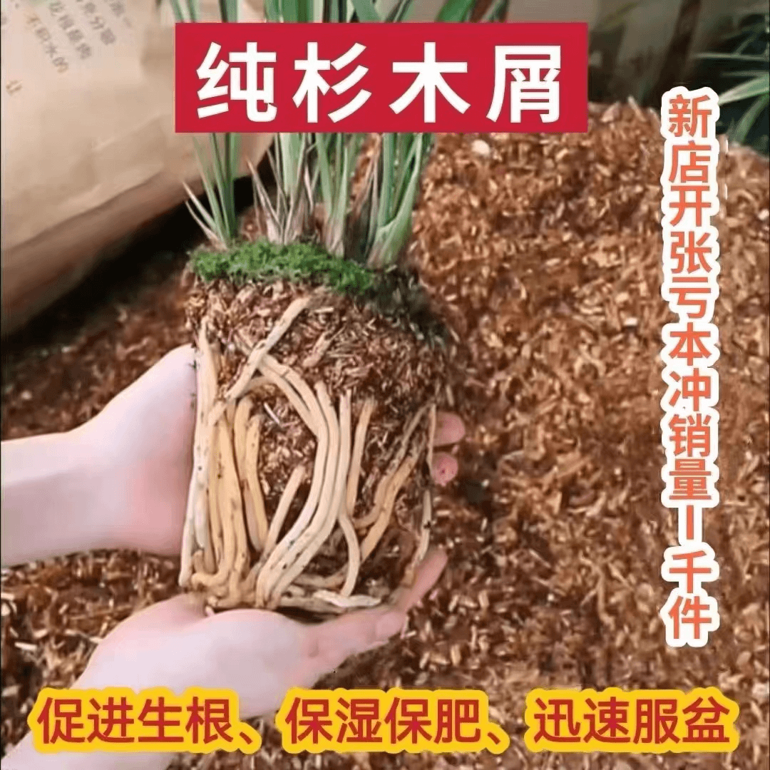 4-6斤兰花专用土 纯杉木屑  兰花通用型居家兰花植料