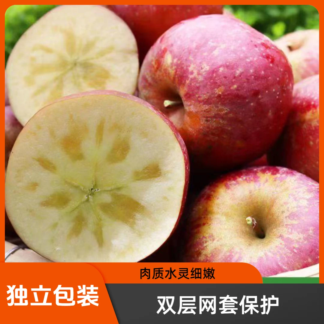 正宗云南昭通苹果冰糖营养冰糖现摘新鲜甜脆自然产地昭通丑苹果