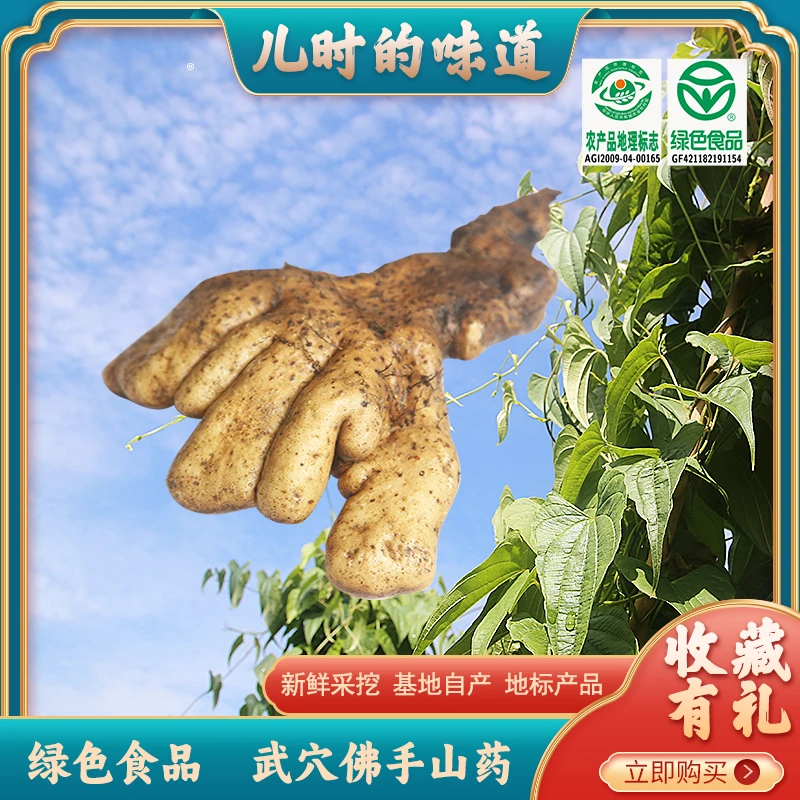 广济印象湖北特产武穴佛手山药绿色食品余川梅川原产地新鲜现挖