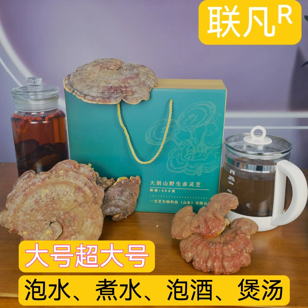 联凡（大号超大号15CM以上一斤装）大别山赤灵芝