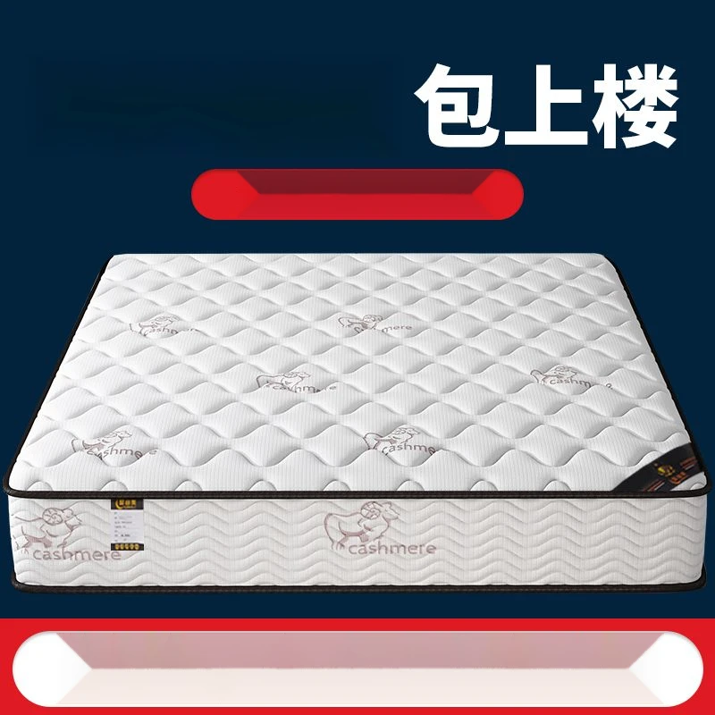 精品席梦思床垫十大名牌软硬两用20CM经济型椰棕弹簧家用