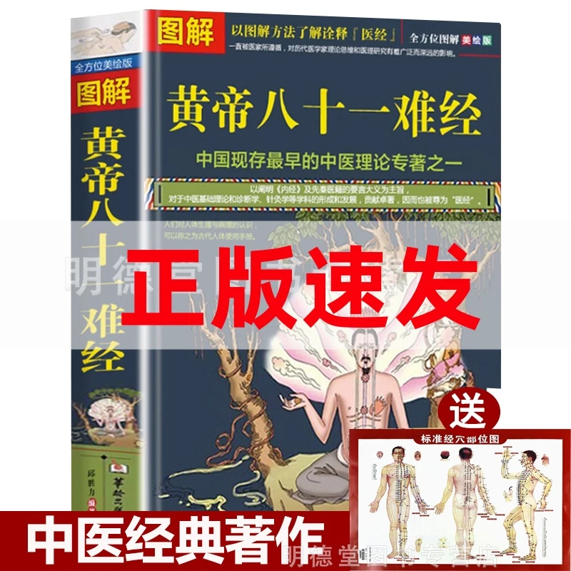 图解黄帝八十一难经内经中医自学针灸穴位养生健康伤寒论经络书籍