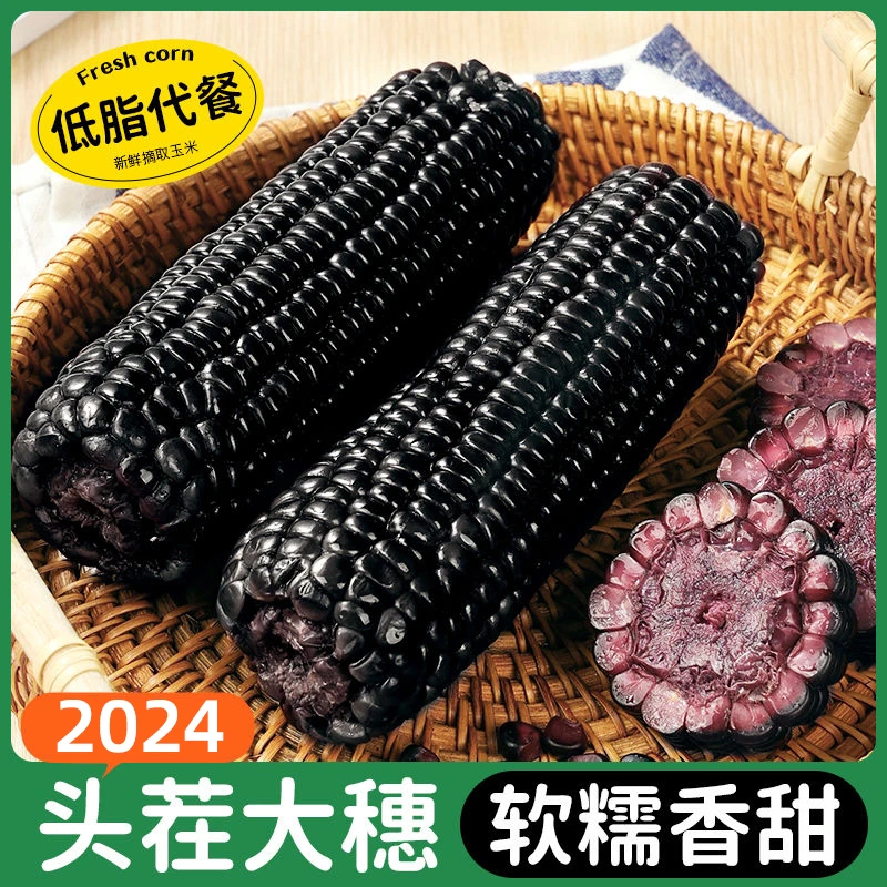 10支黑珍珠糯玉米可【试吃2根】新鲜真空包装280-320克/根大棒整箱