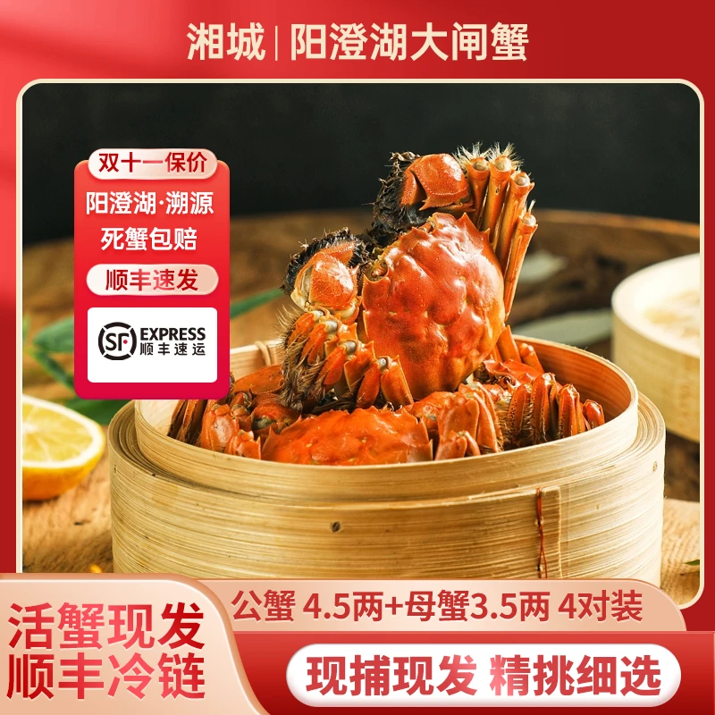 【苏州溯源】湘城 正宗阳澄湖大闸蟹塘蟹公4.5两母3.5两8只礼盒装