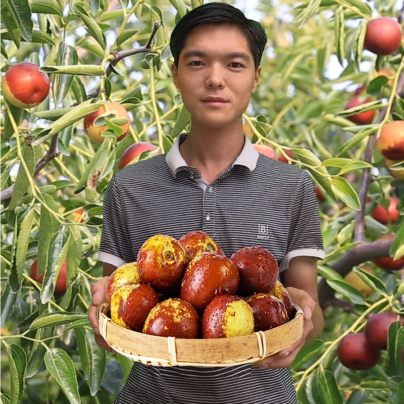 新鲜冬枣现摘现发5斤脆甜青红冬枣应季时令水果整箱农