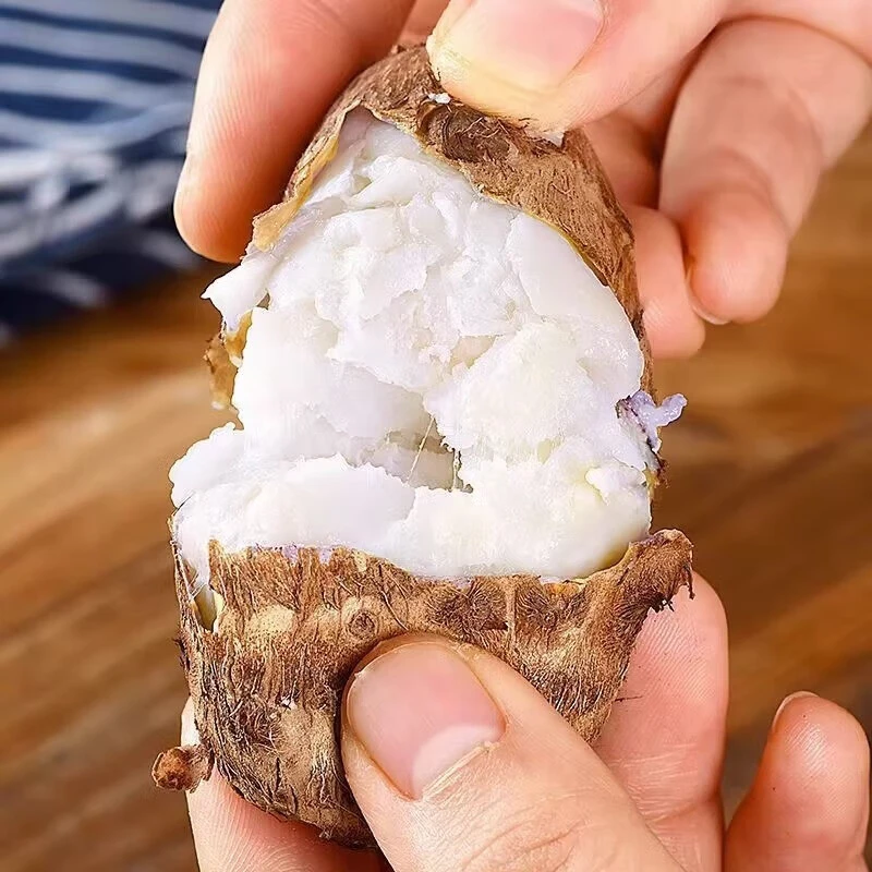 牛奶小芋头新鲜现挖坏果包赔到手约40-60个