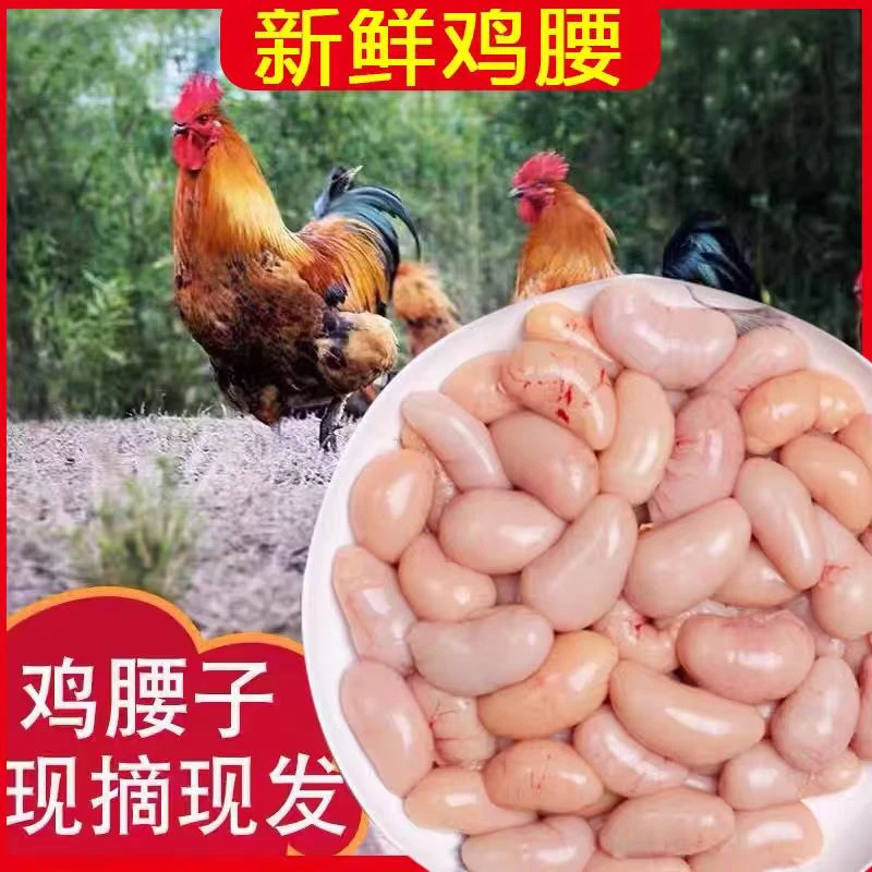【现货直发】新鲜老公鸡腰子散养土公鸡腰子卵子睾鸡春子鸡宝卵保鲜