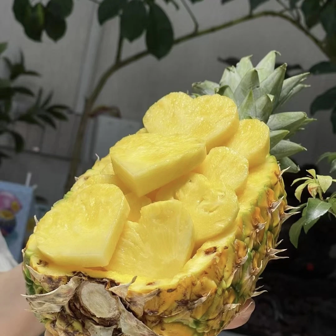 【八甜二酸】水果码头蜂蜜凤梨 2颗装 净重4斤/5斤左右新鲜水果