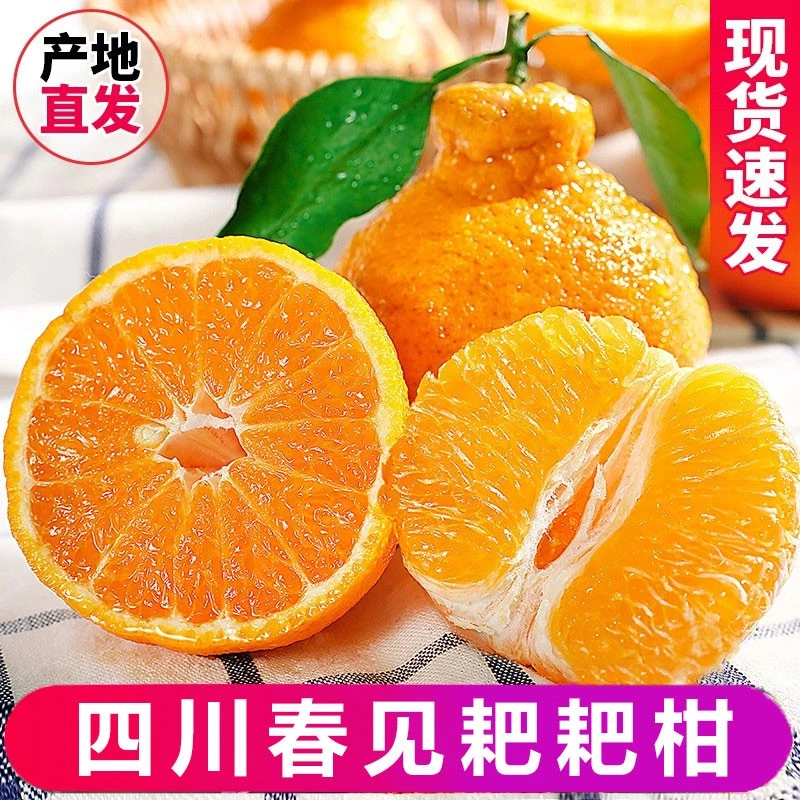【与辉同行东方甄选】正宗春见四川春见耙耙柑手剥现摘酸甜直发皮薄