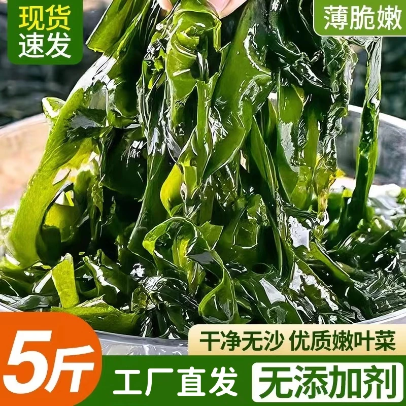 【大连】新鲜盐渍裙带菜凉拌菜煲汤海洋蔬菜4.7斤/净重